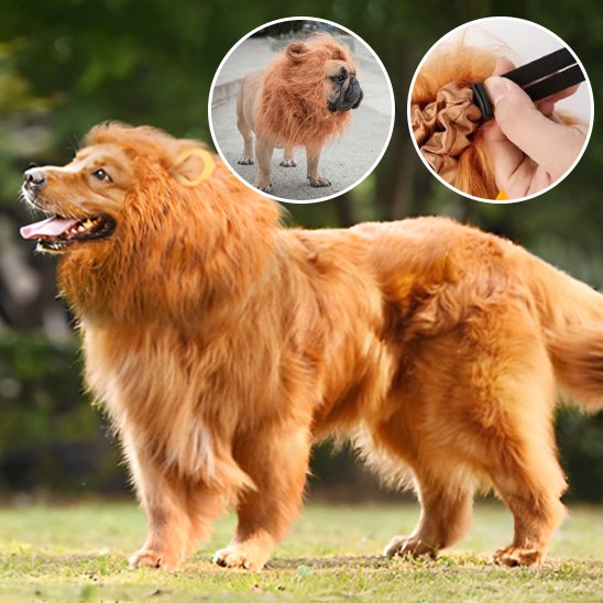 Déguisement chien - JungleKingDog™