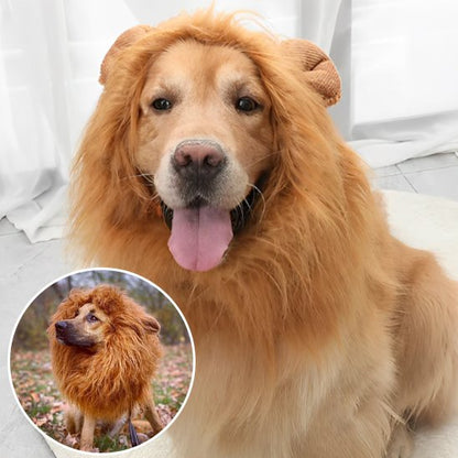 Déguisement chien - JungleKingDog™