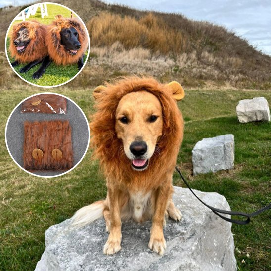 Déguisement chien - JungleKingDog™