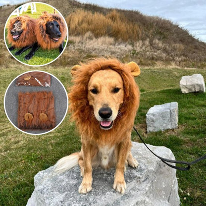 Déguisement chien - JungleKingDog™