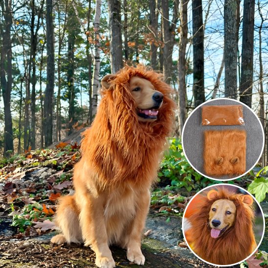 Déguisement chien - JungleKingDog™