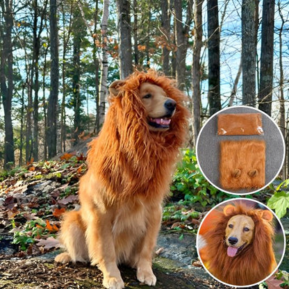 Déguisement chien - JungleKingDog™