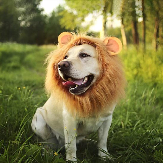 Déguisement chien - JungleKingDog™