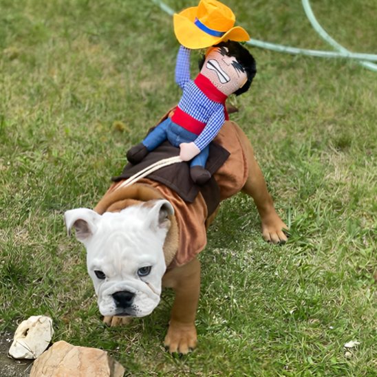 Déguisement chien - CowboyDog™