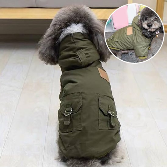 Manteau pour chien - ArmyCoatDog™