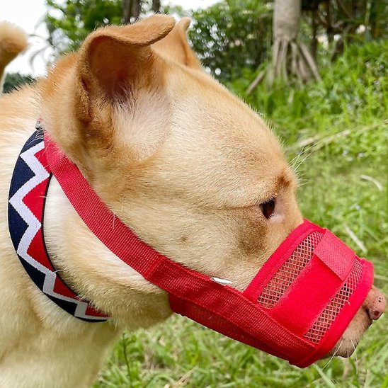 Muselière - SecuriConfort™ Rouge