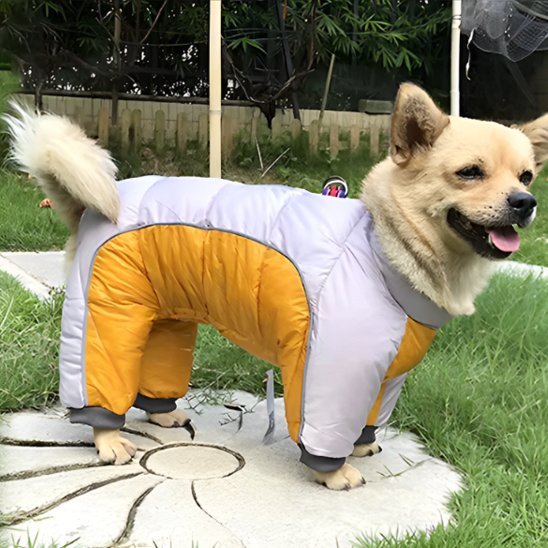 Manteau pour chien - FullProtectDoggy™