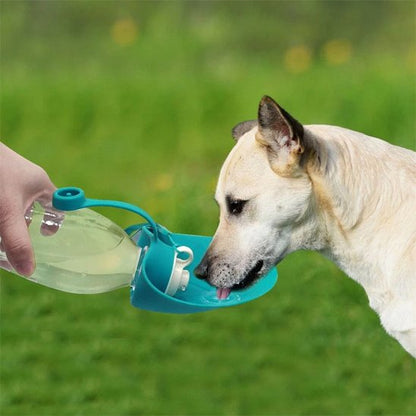 Gourde chien - AbsoluteWater™