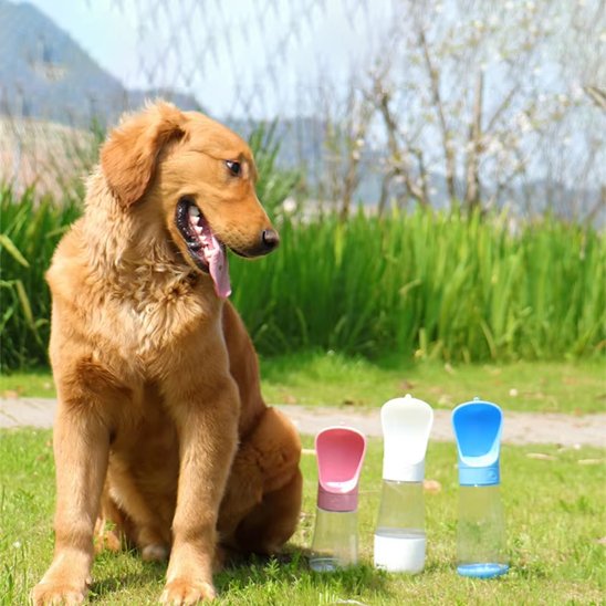 Gourde chien - QuickWater™