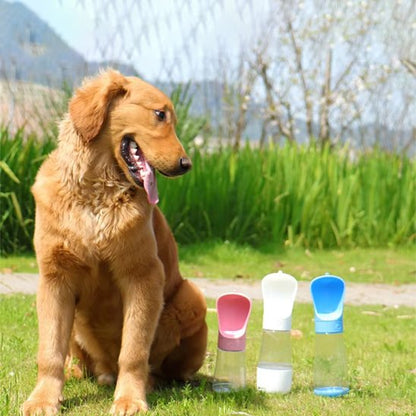 Gourde chien - QuickWater™