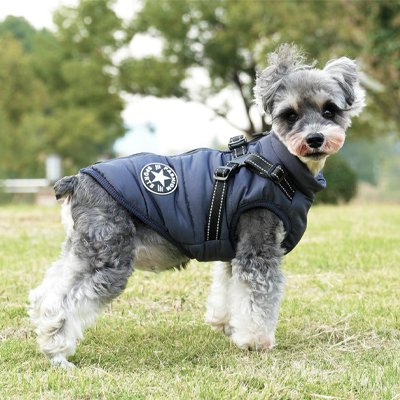 Manteau Chien - WinterStop™