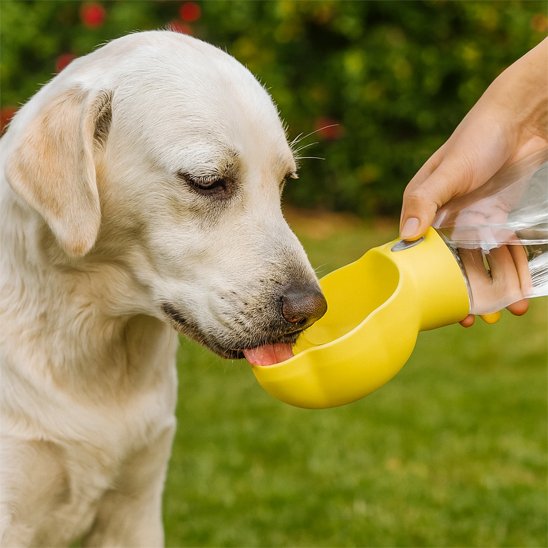 Gourde pour Chien - PawDrink™