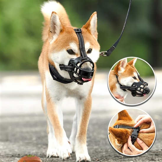 Muselière - SilyConfort™