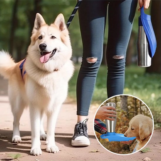 Gourde chien - RocketWater™