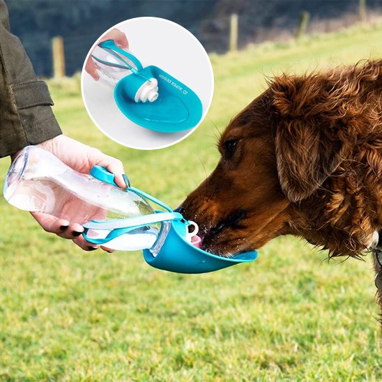 Gourde chien - AbsoluteWater™