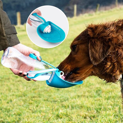 Gourde chien - AbsoluteWater™