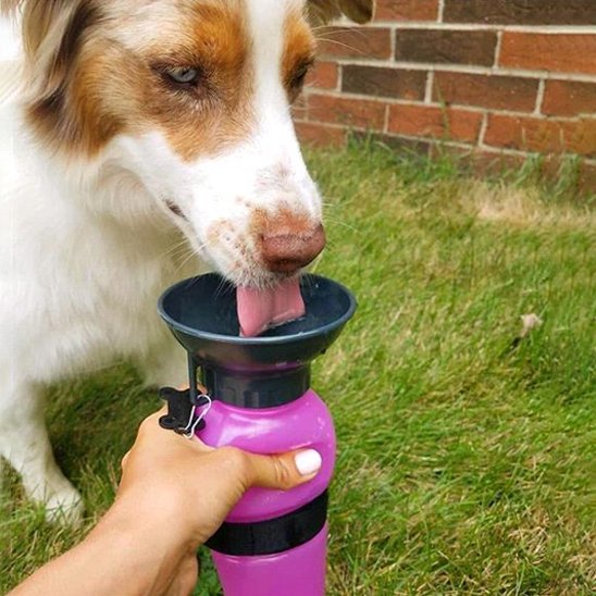 Gourde pour chien - QuikHydrate™