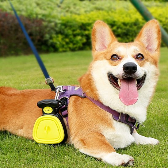 Ramasse crottes pour chien - PickUpPoop™