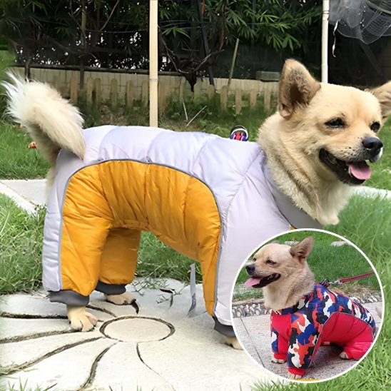 Manteau pour chien - FullProtectDoggy™