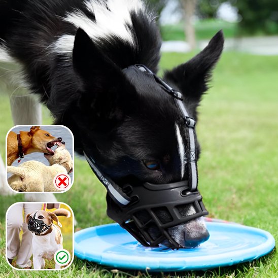 Muselière - SilyConfort™