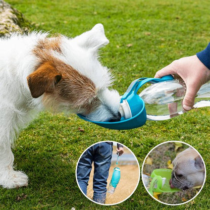 Gourde chien - AbsoluteWater™