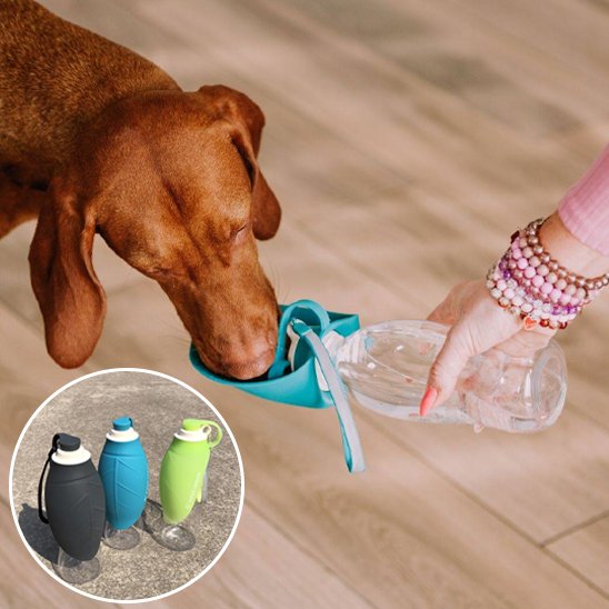 Gourde chien - AbsoluteWater™