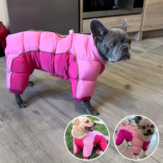 Manteau pour chien - FullProtectDoggy™