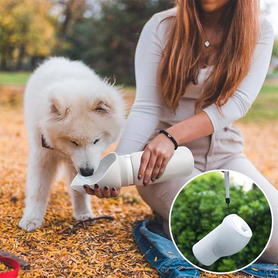 Gourde chien - HydraTrek™