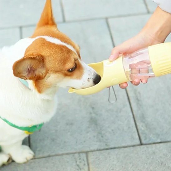 Gourde pour chien - HydraRando™