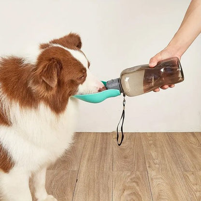 Gourde pour chien - FreshWater™