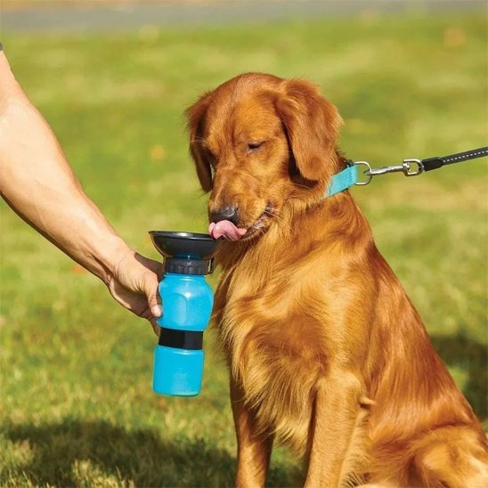 Gourde pour chien - QuikHydrate™