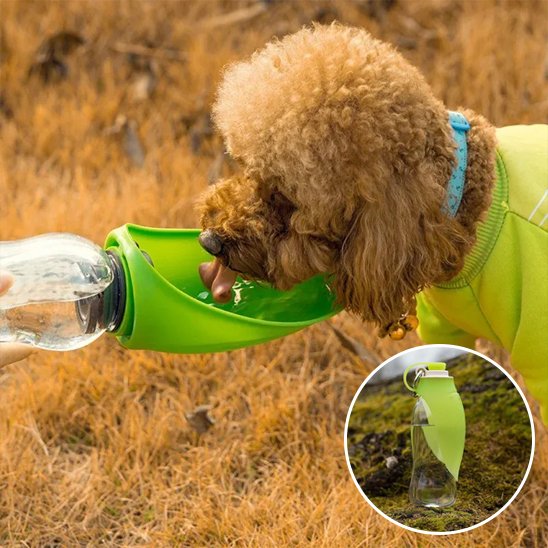 Gourde chien - AbsoluteWater™