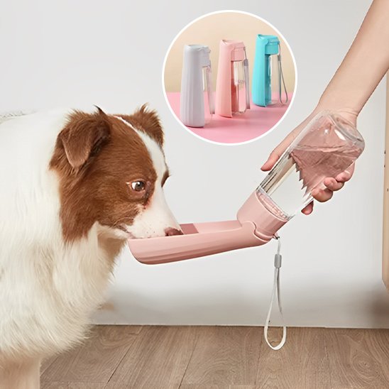 Gourde chien - SimplyWater™