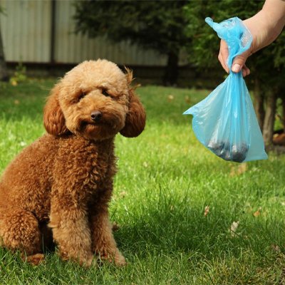 Sac a crotte biodégradable - BioPoopBag™