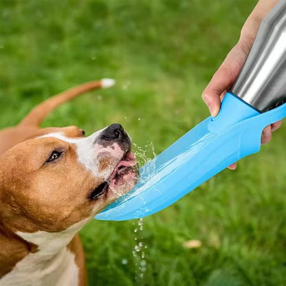 Gourde chien - RocketWater™
