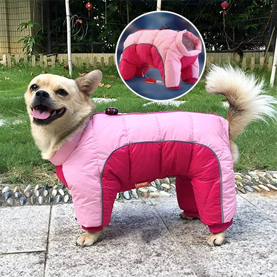 Manteau pour chien - FullProtectDoggy™
