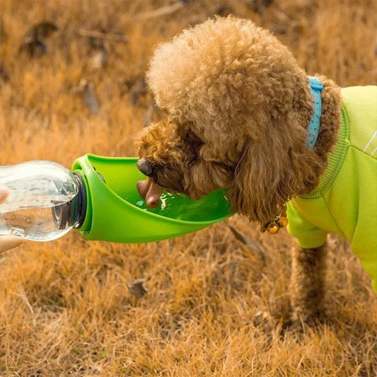 Gourde chien - AbsoluteWater™