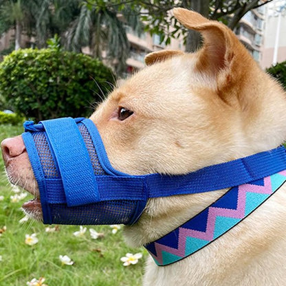 Muselière - SecuriConfort™ Bleu