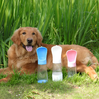 Gourde chien - QuickWater™