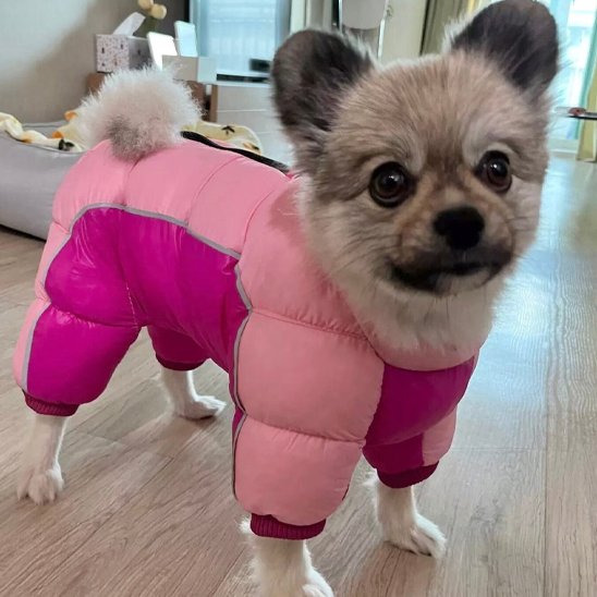 Manteau pour chien - FullProtectDoggy™