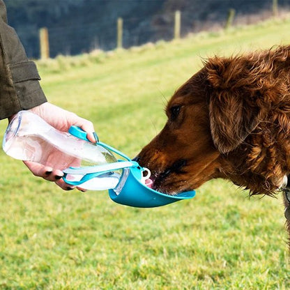 Gourde chien - AbsoluteWater™