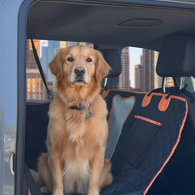 Protection chien voiture - ConfortO™