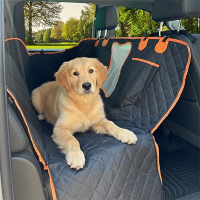 Protection chien voiture - ConfortO™