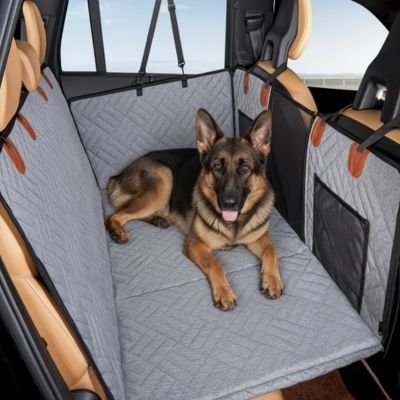 Protection voiture chien​