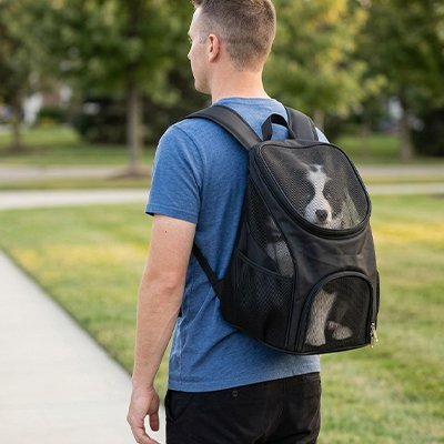 Sac a dos chien - EasyBring™ - Ma Promenade avec Toutou