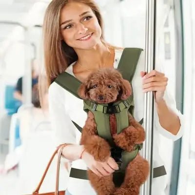 Sac à Dos pour Chien - PetCarrier™ - Vert - Ma Promenade avec Toutou