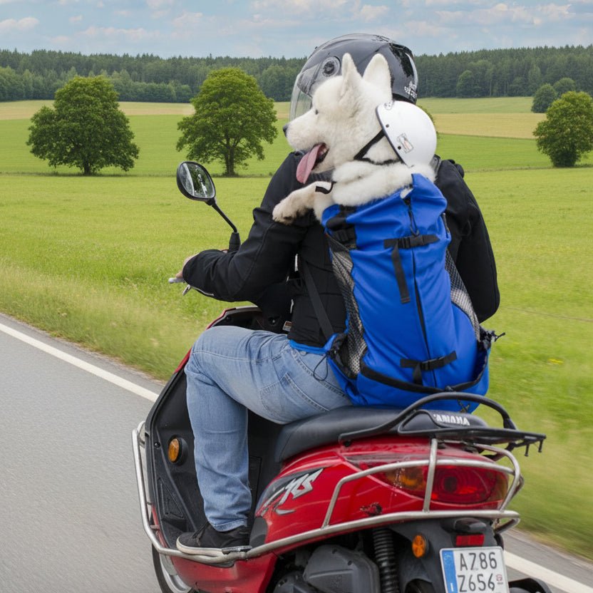 Sac à dos pour Chien - PratiConfort™ - Ma Promenade avec Toutou