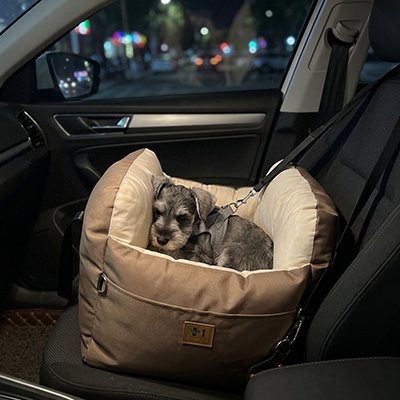 Siege auto pour chien - LaGrandeVie™