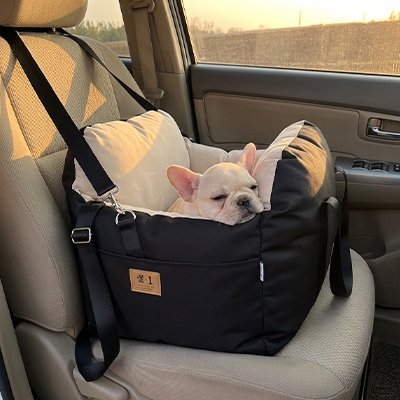 Siege auto pour chien - LaGrandeVie™