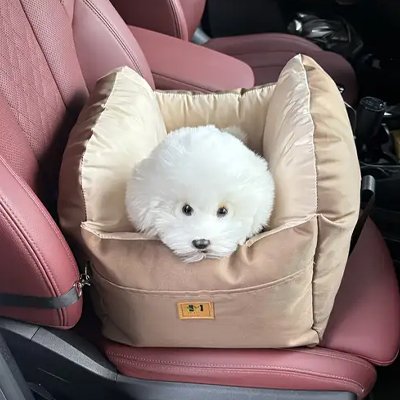 Siege auto pour chien - LaGrandeVie™